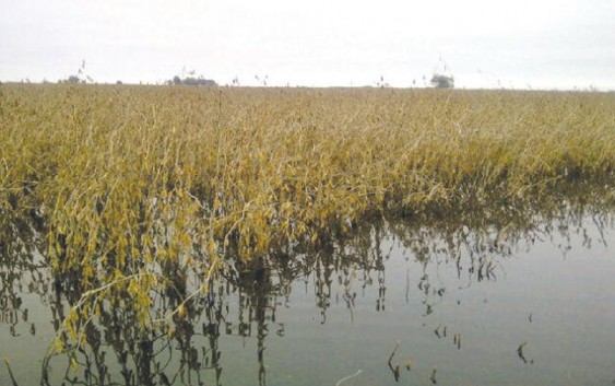 Mezcla de Aguas