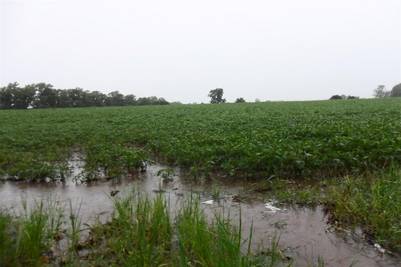 “Es grave el estado de la red secundaria”