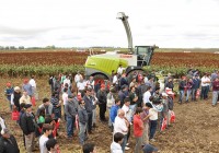 Curso de forrajes conservados Curso de forrajes conservados