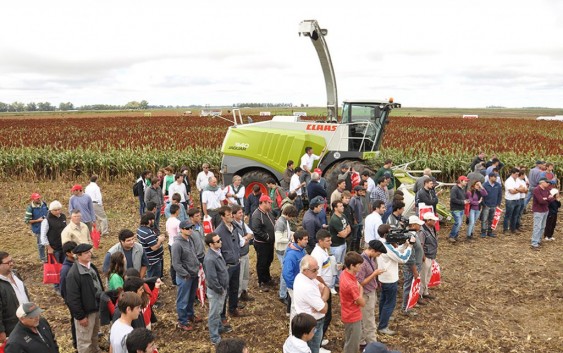 Curso de forrajes conservados