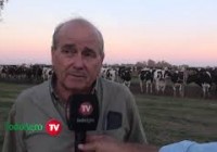¿Cómo está compuesta la dieta de las vacas en El Duraznito?