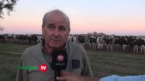 ¿Cómo está compuesta la dieta de las vacas en El Duraznito?