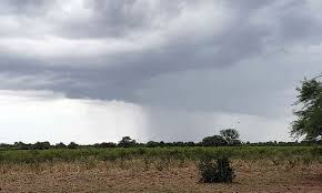 Perspectivas agroclimaticas 20/21
