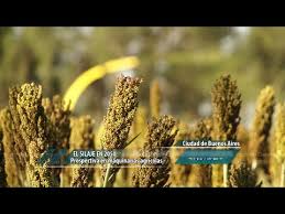 Prospectiva en maquinarias agrícolas