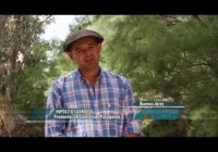 Forraje de calidad todo el año