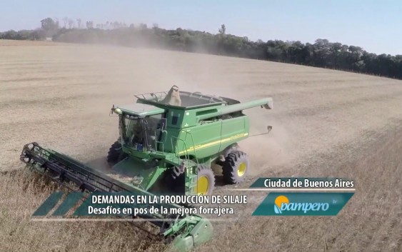 Demandas en la producción de silaje