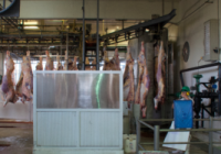 Perspectiva: China sigue siendo (por lejos) el principal cliente de la carne bovina argentina Perspectiva: China sigue siendo (por lejos) el principal cliente de la carne bovina argentina