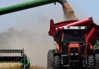 Alberto Morelli: “El cierre de exportaciones no va a hacer que haya más maíz”