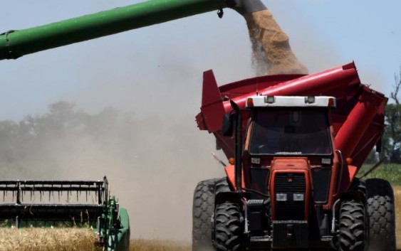 Alberto Morelli: “El cierre de exportaciones no va a hacer que haya más maíz”