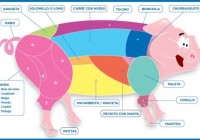 Cómo identificar los cortes de cerdo Cómo identificar los cortes de cerdo