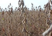 Argentina en alerta climática: es cada vez más sólida la probabilidad de ocurrencia de una “Niña” que potencie la emergencia hídrica Argentina en alerta climática: es cada vez más sólida la probabilidad de ocurrencia de una “Niña” que potencie la emergencia hídrica