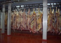 Informe Agroideas: Coronavirus y el impacto en la carne Informe Agroideas: Coronavirus y el impacto en la carne