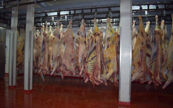 Informe Agroideas: Coronavirus y el impacto en la carne