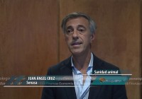 Nuevo Mercado Agroganadero en Cañuelas Nuevo Mercado Agroganadero en Cañuelas