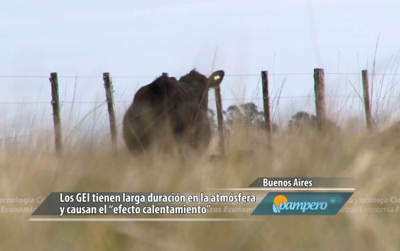 De vacas, gases y cambio climático