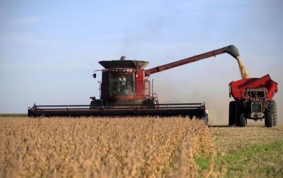Caídas masivas en los commodities de Chicago