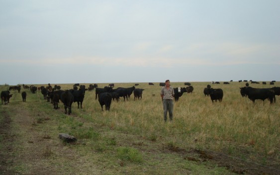 Conversatorio “9 de julio ¿Y ahora qué?”