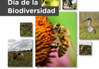 Día de la Biodiversidad