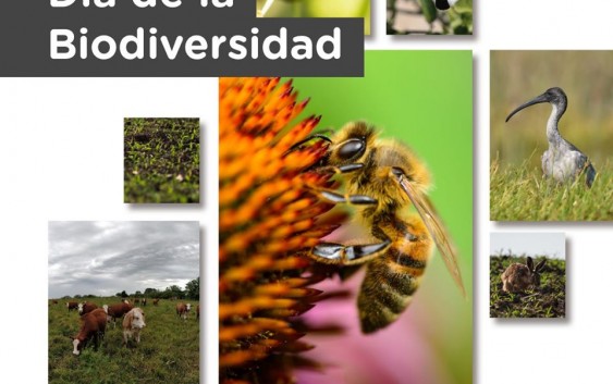 Día de la Biodiversidad