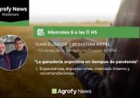 La ganadería argentina en tiempos de pandemia