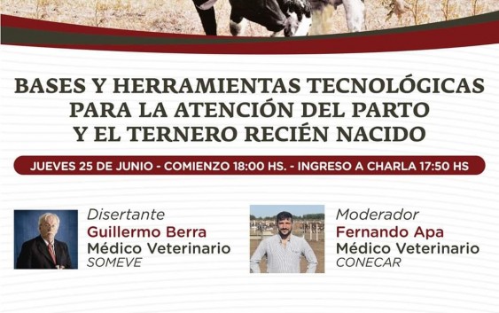 Bases y herramientas tecnologicas para la atención del parto y el ternero recién nacido
