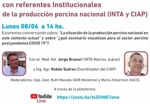 Charla en vivo con referentes Institucionales de la producción porcina (Inta y Ciap)