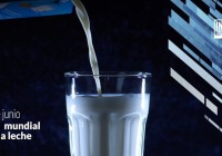 Cuál es la receta de una alimentación equilibrada