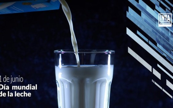 Cuál es la receta de una alimentación equilibrada