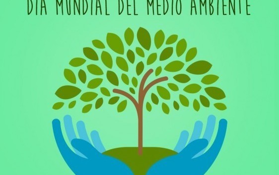 5 de Junio – Día del Ambiente