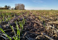 Jornadas SUELO 2020 / Inscripciones