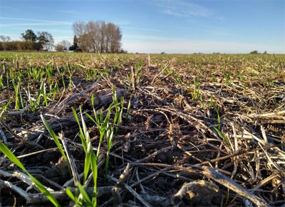 Jornadas SUELO 2020 / Inscripciones