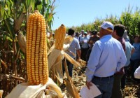 INTA Marcos Juárez – Jornada de actualización en maíz – Módulos 1 y 2 INTA Marcos Juárez – Jornada de actualización en maíz – Módulos 1 y 2