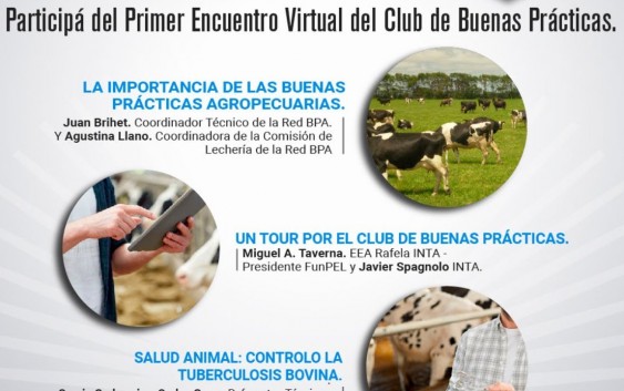 Primer encuentro virtual del Club de las Buenas prácticas Tamberas