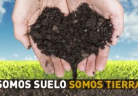 Jornadas SUELO 2020 / Inscripciones