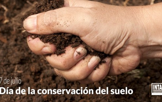 Día de la Conservación Del Suelo