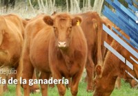 Dia de la ganaderia