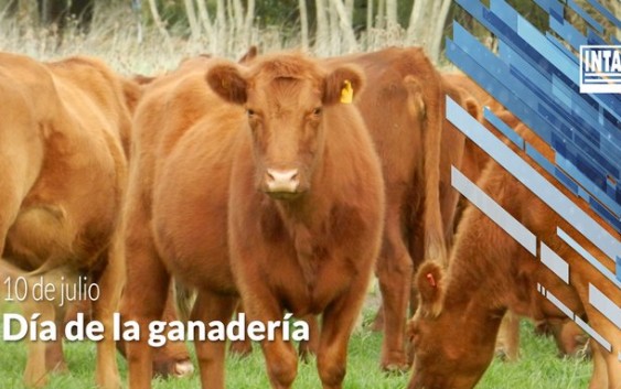 Dia de la ganaderia