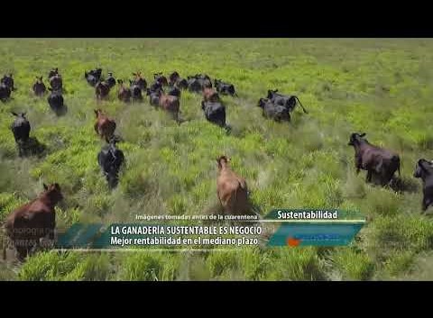 La ganadería sustentable es negocio