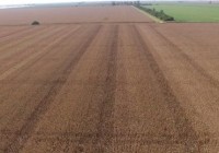 Suelos de Latinoamérica online