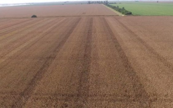 Suelos de Latinoamérica online