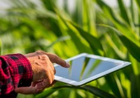 Tecnologías de la información en el Agro: ¿hacia dónde vamos?