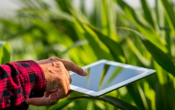 Tecnologías de la información en el Agro: ¿hacia dónde vamos?