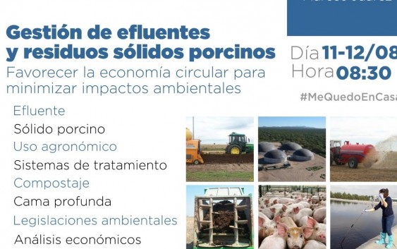 Gestión de efluentes y residuos solidos porcinos