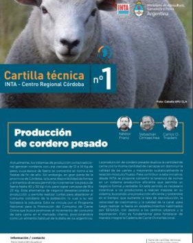 Producción de cordero pesado