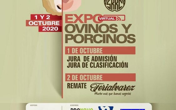 PRE-OFERTA REMATE EXPO OVINOS Y PORCINOS DE LA Sociedad Rural de Río Cuarto