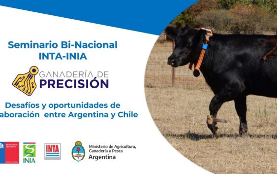 Ganadería de Precisión : INTA-INIA / Articulación público-privada. Bloque 02