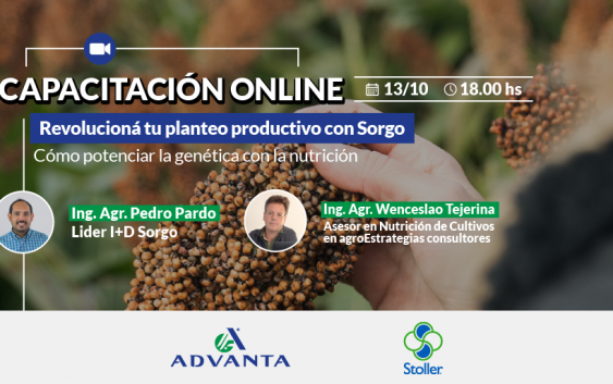 Capacitación online 13/10 18:00hs