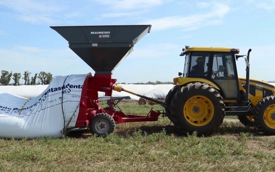 Aspectos relevantes en el almacenamiento de granos en silos bolsas.