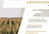 Salud física del suelo, perspectivas climáticas y de mercadeo