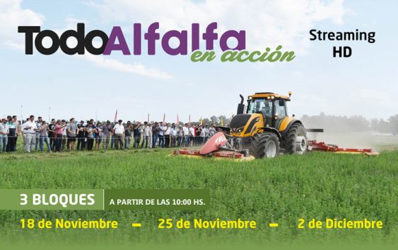 Jornadas TodoAlfalfa en Acción – Conferencias y dinámicas virtuales